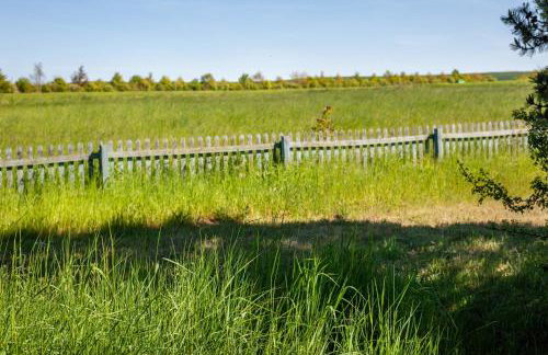 Möve Aba Bungalow 61 - Photo 26