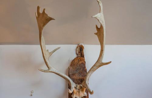 The Bothy at Snape Hall - Foto 10