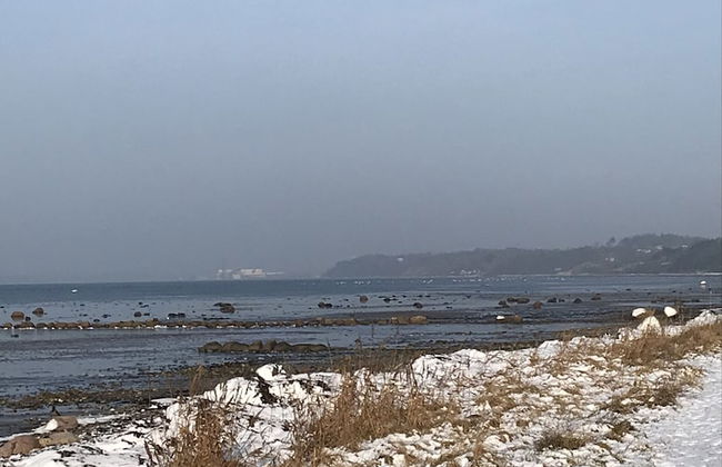 Strandsegård Ferielejligheder - Foto 55