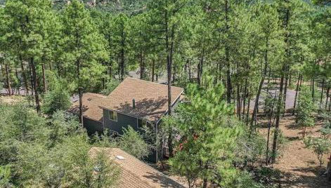 Mountain Cabin Retreat in the Pines - Foto 1