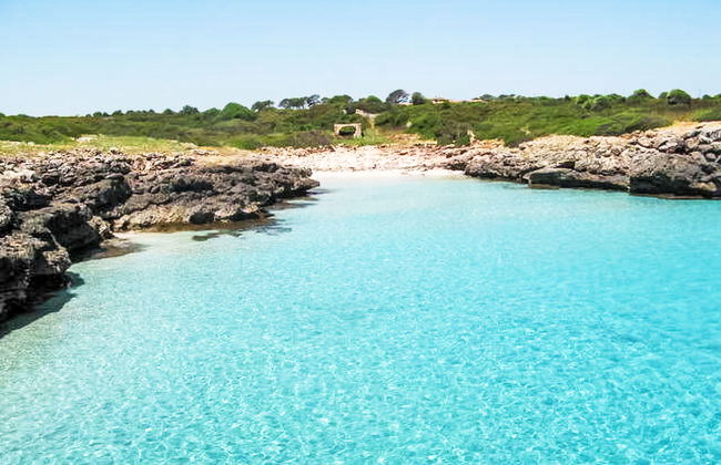 Fonoll Mari - Foto 18