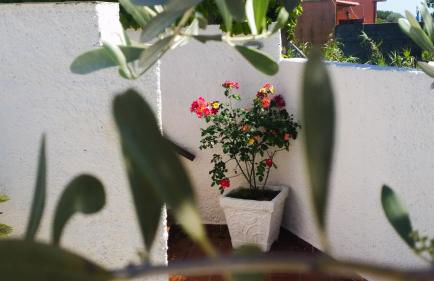 Appartamenti Luongo - Foto 78