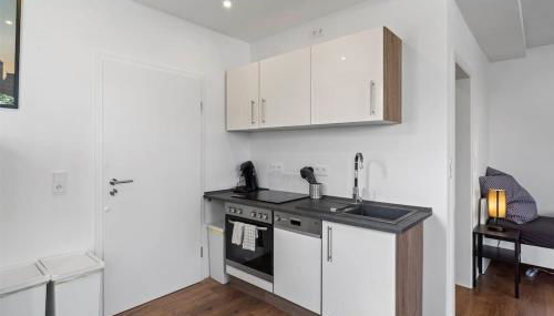 RO01 Schickes 1-Zimmer Apartment - Foto 3, stove, dishwasher