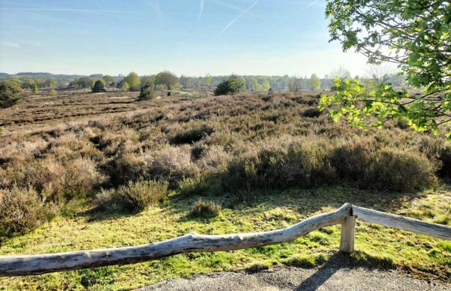 Holiday Home in Haarle Near Sallandse Heuvelrug - Foto 25