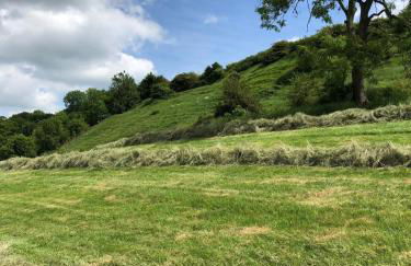 Adorable one bed cottage in rural idyll - Foto 8