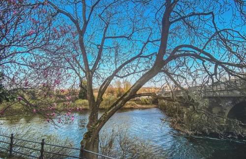 The Terrace at Riverside Suites - Foto 17