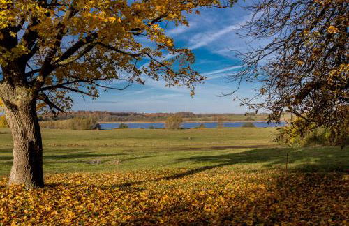 Speicher-Studio 2 - Foto 15