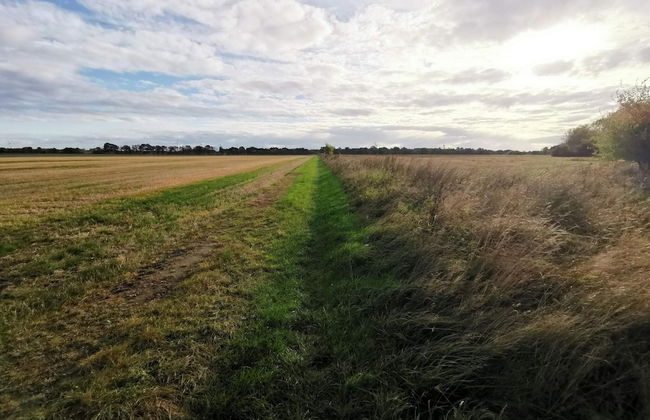 Secluded Holiday Home in Lolland near Sea - Foto 12