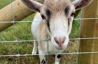 Four Bedroom House With Private Pool - Stunning countryside location with parking close to Chester City Centre - Photo 37