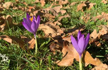 La Suite Unique - Le jardin sur les Pyrénées- vue panoramique montagne -jardin clôturé privé de 100m2-Parking-Linge de lit et serviettes compris- - Foto 19