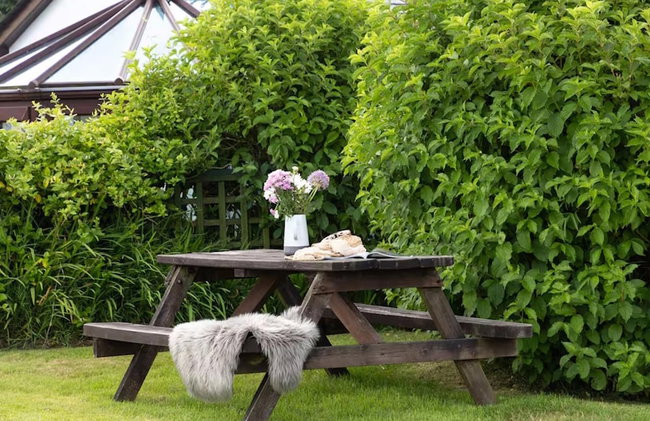 Anneth Lowen - Dog-friendly Cottage Boscastle - Foto 46