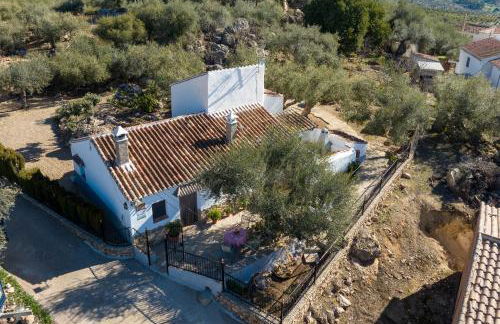 Cortijo Salva - Foto 21