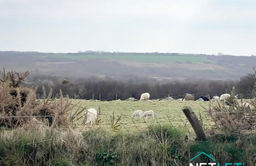 Ty Onnen - A Beautiful Rural Escape in St Davids - Foto 23