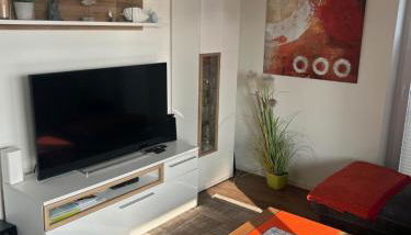 Silbermöwe im Kirschgarten - Foto 3