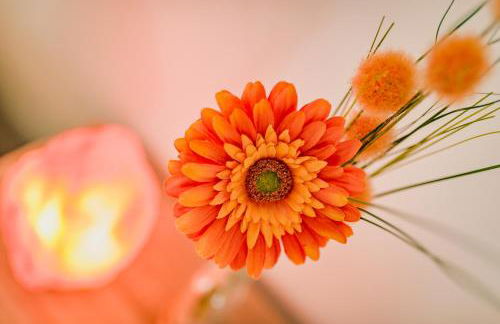 Agriturismo Olistico Atman - Foto 75