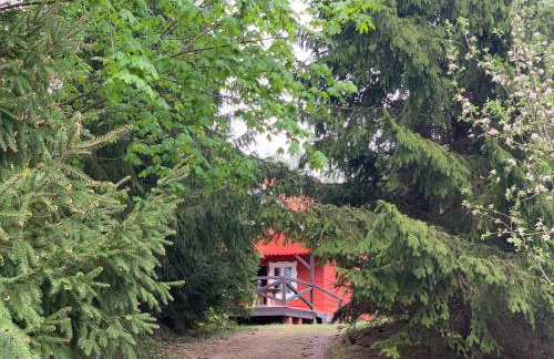 Święty Spokój Łąka i Woda - Foto 69