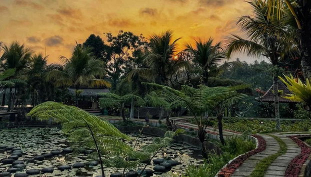 Merveilles naturelles de Bali : forêt des singes d'Ubud et nuit des lucioles - Tour d'une journée - Photo 3