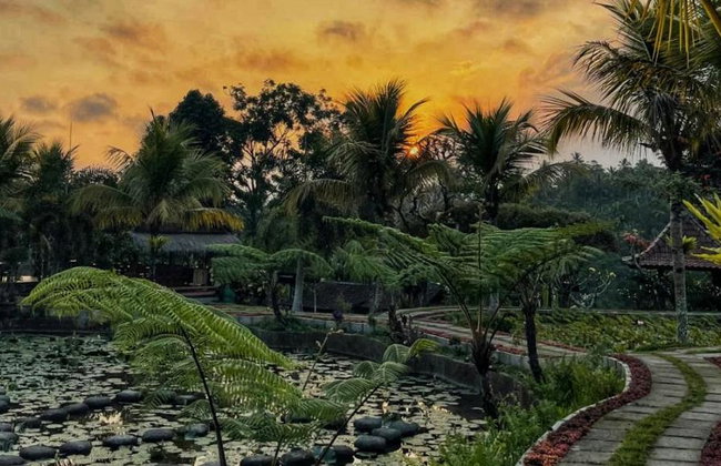 Bali Nature Wonders: Ubud Monkey Forest and Firefly Night - Full-Day Tour - Photo 3