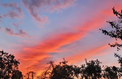 Märchenhaft urlauben auf dem Alpakahof - Foto 26
