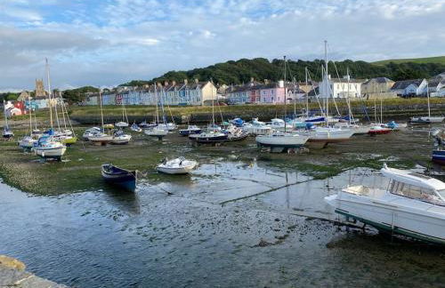 Cottage in the Countryside Near New Quay West Wales - Photo 30