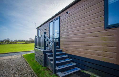 Bumblebee - 2 Bedroom Lodge - Manorbier - Foto 31