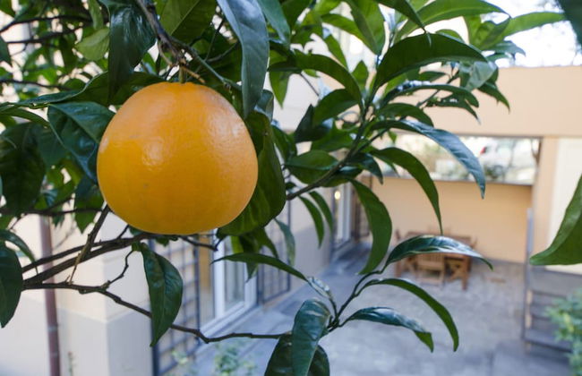 JOIVY Nervi Charming Flat Santarosa - Foto 30