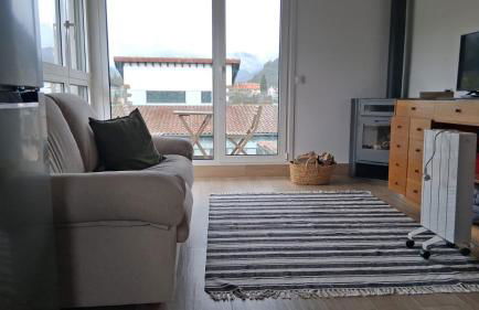 Mirando a los Picos de Europa - Photo 10