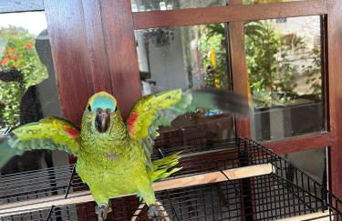 Casa em Garanhuns - Fazenda Bela Vista - Foto 40