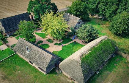 Gniazdo w Felicjanowie - Foto 1