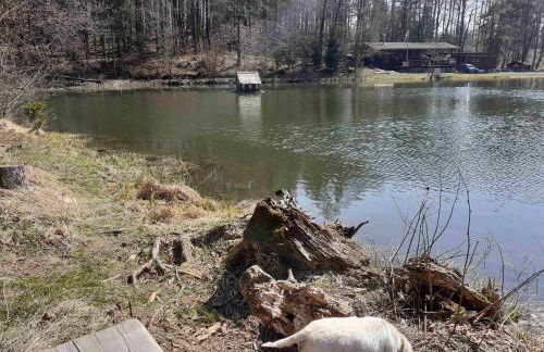 FeWo Rhoen-Thal - Photo 30