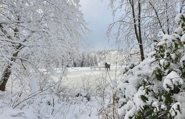 Comfortable Waterfront Apartment in Hahnenklee - Photo 79