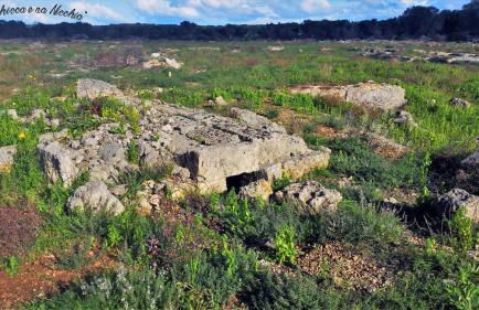 Na Chicca e na Nicchia - Foto 53