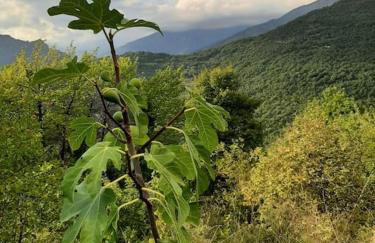 Maison Bohème Vesubie - Foto 11