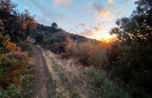 Encinar de Aguas Blancas - Foto 33