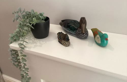 The Studio, spacious riverside property in Ludlow with private parking - Photo 5