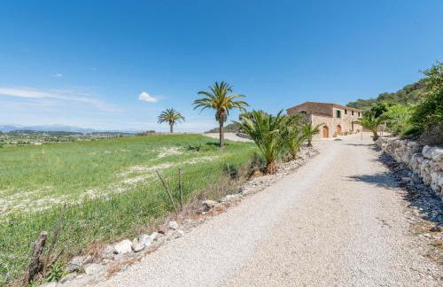 S'era de Son Roig - Foto 22