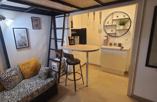 STUDIO- NICE MONT BORON, PISCINE SUR LA RESIDENCE - Foto 1