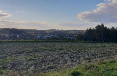 Guzikowa Chata - Foto 14