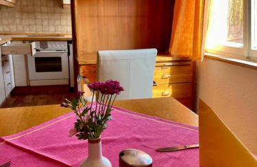 Ride & Rest, Budget, Waschmaschine, Wohnzimmer, Küche, Radlgarage - Foto 26