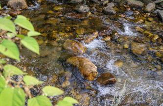 Adventurer's Home | Kingdom Trails | Swimming Hole - Foto 31