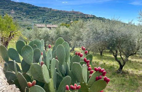 Balcone Fiorito, nel cuore del centro storico di Cortona - Foto 42