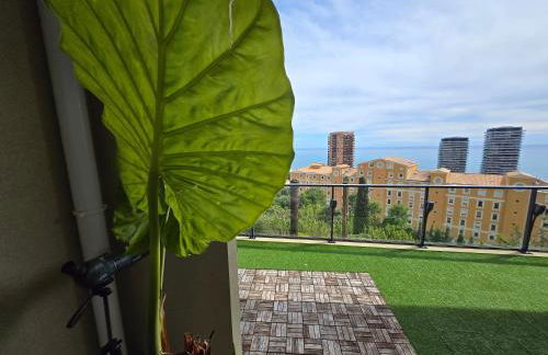 Monaco view, pool, garage, 100 m2 terrace - Foto 66