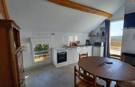 L'appel de la foret - Foto 3