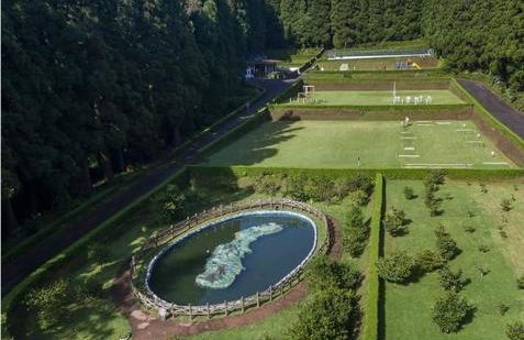 Norverde - Açores - Photo 28