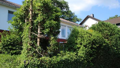 Ferienwohnung Zum Rosengarten Driedorf 3 Sterne Unterkunft im Westerwald mit Komfort & zentraler Lage - Foto 3