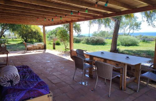 El Abejaruco - Foto 11