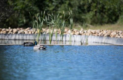 Le Pont Rouge Roulotte - Foto 11
