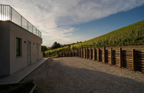 Agriturismo Vitae di Langa - Foto 37