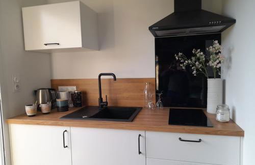 RELAI DU CHATEAU DE LA TOURLANDRY - Foto 40