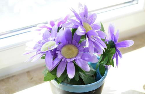 Apartment in the Hochsauerland region in a quiet location - Foto 25